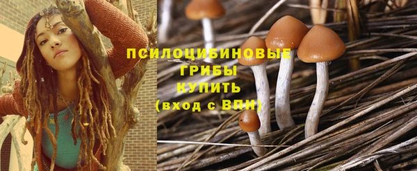 MDMA Елизово
