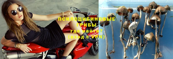герыч Ельня