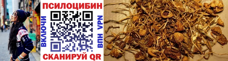 Купить закладки  Нытва  Галлюциногенные грибы Psilocybe 
